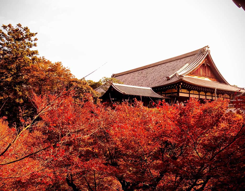 Top 14+ Địa Điểm Du Lịch Kyoto Nổi Tiếng & Đẹp Như Bức Họa