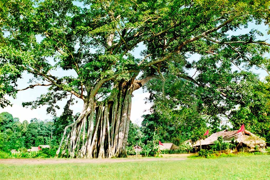 10+ Danh Lam Thắng Cảnh Ở Tuyên Quang Nổi Tiếng, Hấp Dẫn
