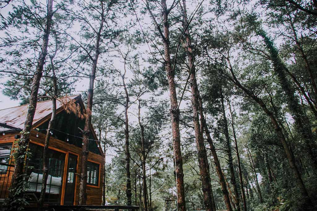 7+ Homestay Gần Hà Nội Cho Cặp Đôi View Đẹp & Lãng Mạn